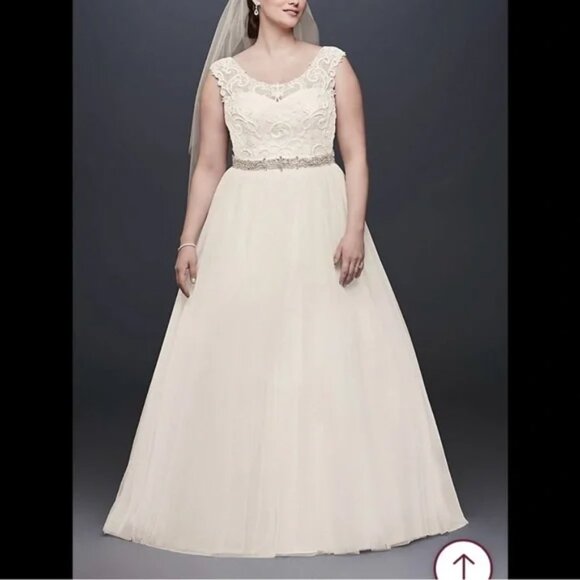 David’s Bridal Tulle and Scroll Lace Cap Sleeve Wedding Dress - Picture 1 of 6